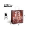 Пакет подарочный крафт, упаковка, «С 23 февраля», 28 х 32 х 15 см